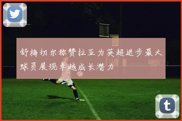 舒梅切尔称赞拉亚为英超进步最大球员展现卓越成长潜力