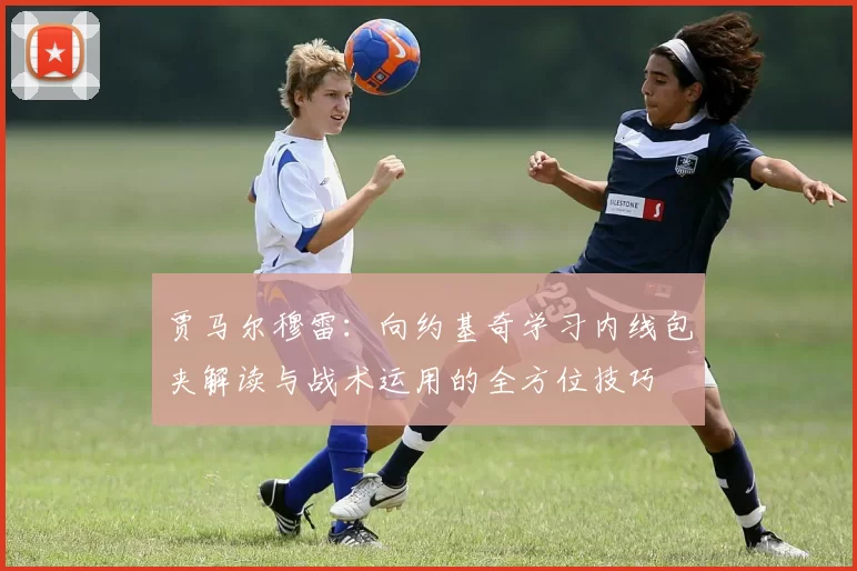 贾马尔穆雷：向约基奇学习内线包夹解读与战术运用的全方位技巧
